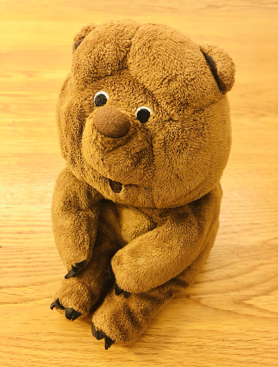 霧につつまれたハリネズミ Traola Twitterren