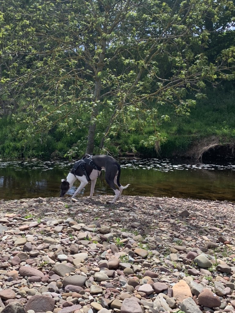 holly jane reshad tweet media