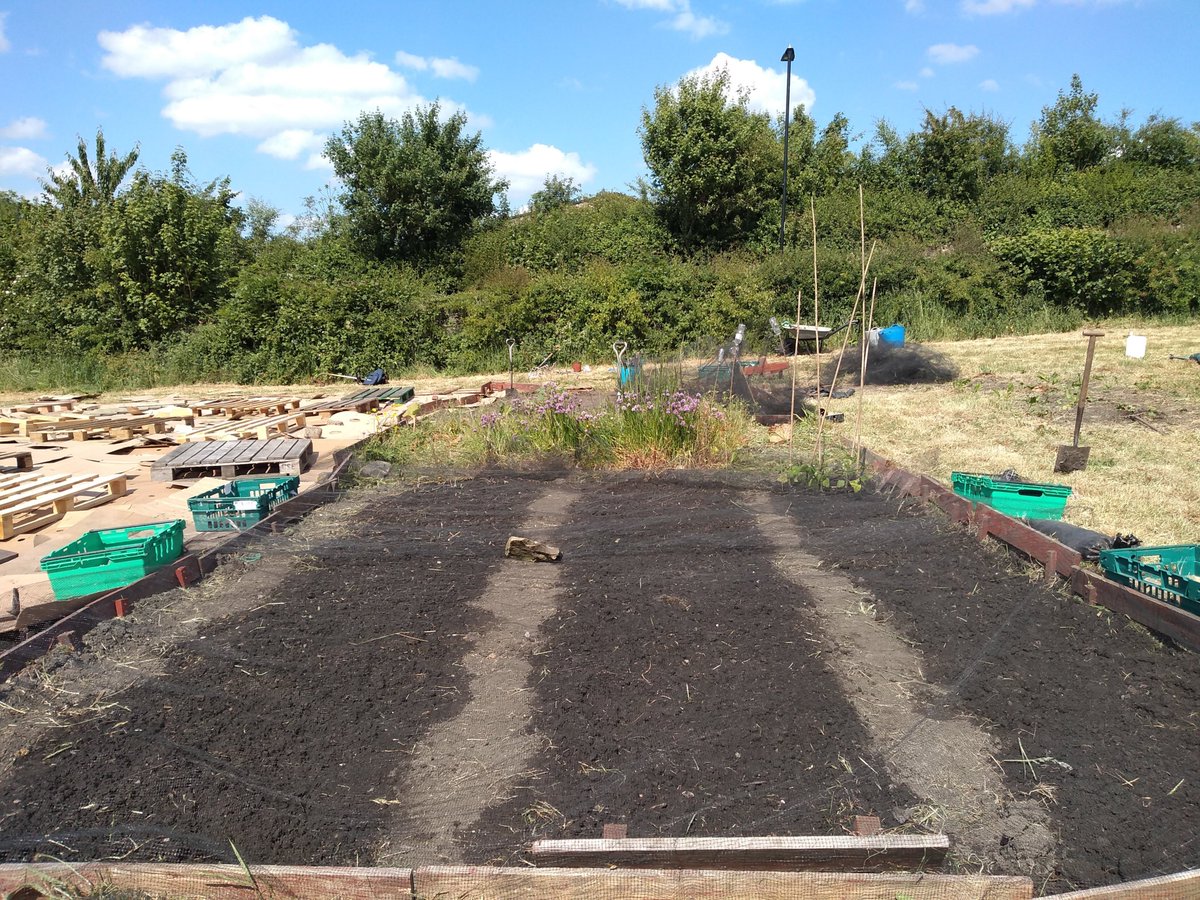 TheFoodWorksSHF's tweet photo. Another productive day on our plot. Planted kale, courgettes ,celery, beans and various herbs in our first beds. Next week we're composting over our patch of cardboard for the b=next set of beds #EveryMouthfulMatters #ThinkGlobalGrowLocal https://t.co/Awu8rGisoV