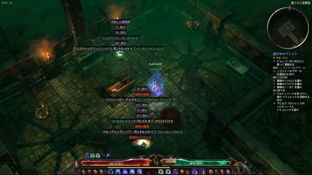 Hac Steam Grimdawn ニコラスバルタザール戦にて 体内損傷もイタァい これはどうしようもない こいつこんなスキル使ってきてたんだな Hac Steam Grimdawn ニコラスバルタザール戦にて 体内損傷もイタァい これはどうしようもない こいつこんなスキル使ってきてたんだな