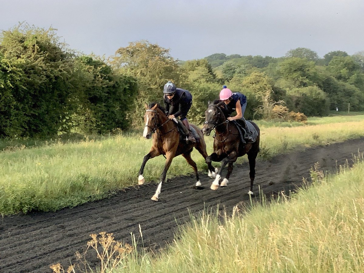 jimboyle17's tweet photo. We’ve seen plenty of action on @Epsomgallops over the last three months, and here’s some of this mornings work - can’t wait now to get these horses out on the track over the coming weeks #IsleOfWolves #Amaretto #ExecChef #BeckySharp #BadCompany #Bonus https://t.co/NspXQ4lqNb