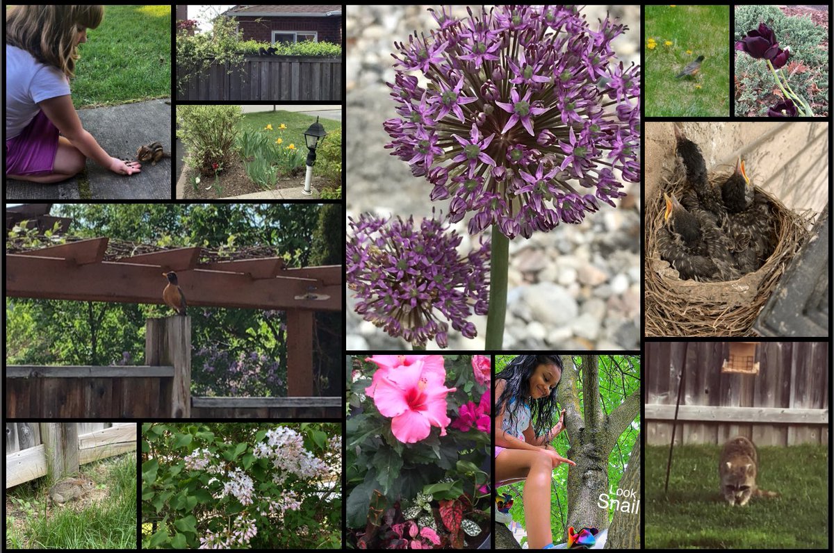 MrsBraysClass's tweet photo. The more children interact with nature, the more they will come to love it. The more you love something, the more likely you are to protect it. These Grade 2s found nature right outside their doors. @EMPSEagles @PeelSchools @MrGardnerTech https://t.co/2MoRWhXvnE