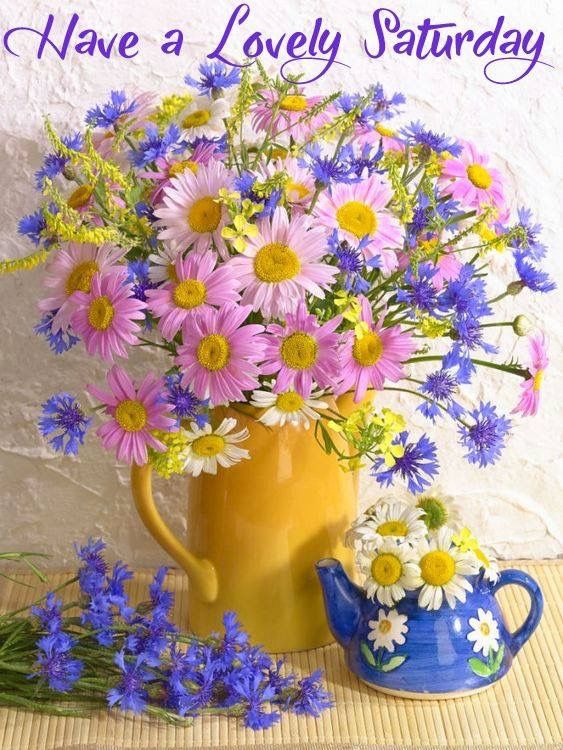 megiTTo_LP's tweet photo. @LadyPeaceRoses1 @BenningtonIsGod @ancalehr @Zhenilp @sharpedgesx @PhyllisRein @BayraWolf @Yve77Bethke @grossekatze51 @LilianaErosa6 @BrokenSoldier91 @dmdavis0997 @Cazzacookie68 @t_saryna @dee_ddclark11 @faint2018_e @carol_goacher @ChrissySh51 @JuleMelody @Hello_Bologna Hello my Beautiful #BestPositiveSister Sarah. I hope you feel well and everything is wonderful for you. 🥰🍀☀️🤗💜Wishing you an amazing weekend full of beauty, sun, love and smiles 💞🎀🌄🌈☀️🌸🌷🌺I hug you tightly and send you a lot of love 😘💗🐦🐝🐌🦋🍀🌱🌸🌈🇨🇭♾👭💕🇧🇬🎈 https://t.co/9SOQKUiaj3