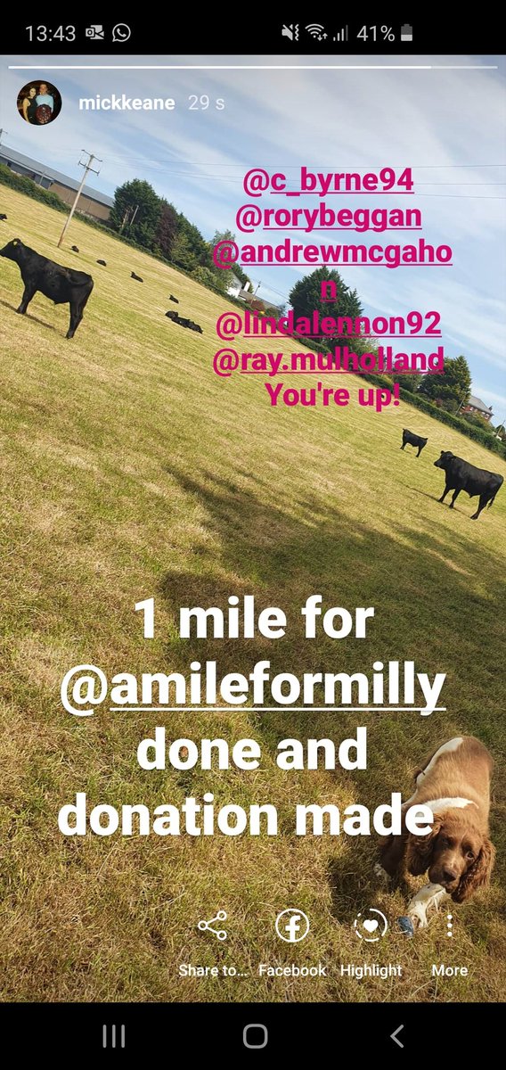 MickKeane92's tweet photo. Of course the dog couldn't go for a walk with the ball 🙄 walk and donation made for @AMileForMilly1! You're up @RoryBeggan1 @Ciaran_Byrne94 @andrewmcgahon_ @LemonLL @RayMulholland 💪 https://t.co/Tv5bp2k3Ro