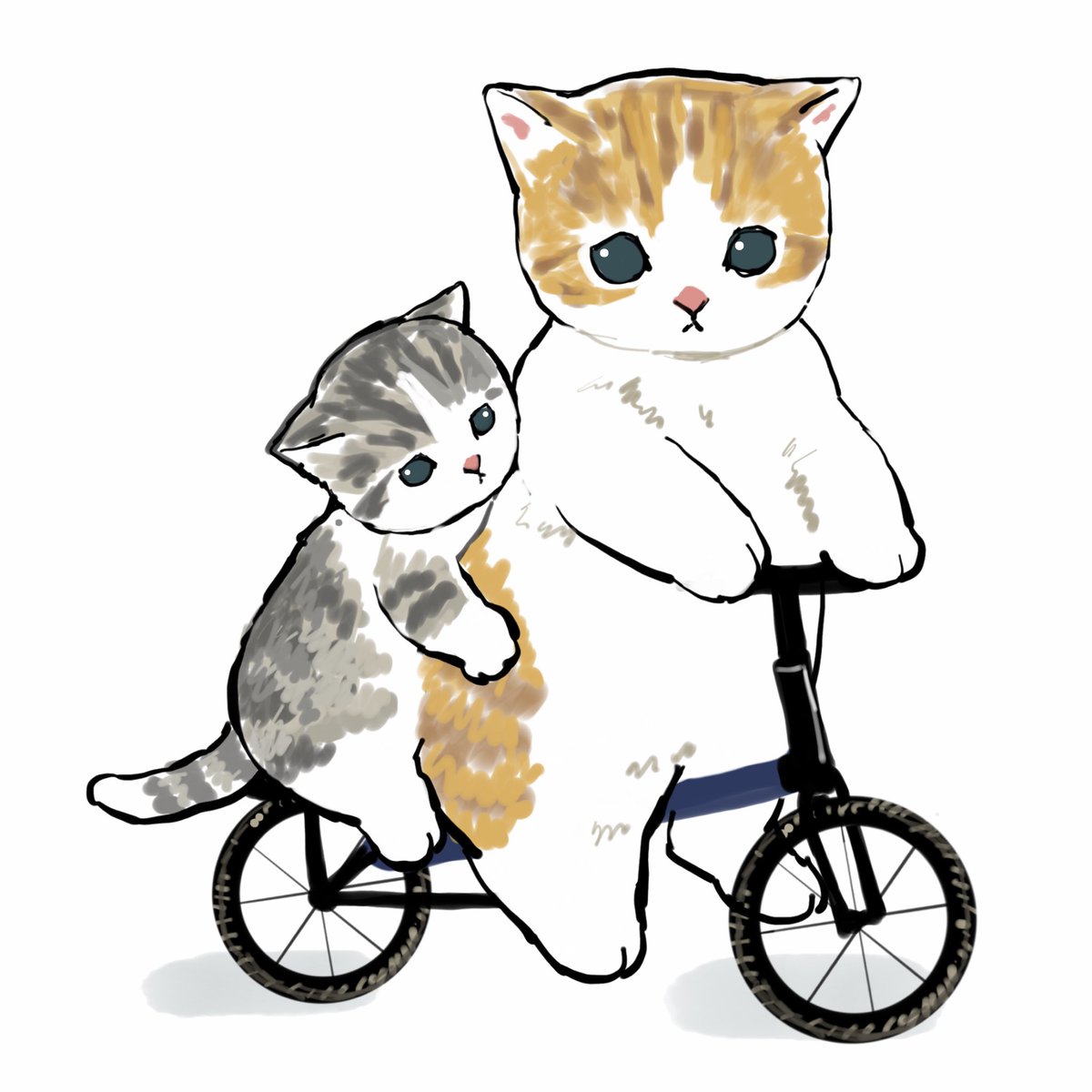 animal focus no humans white background bicycle cat simple background ground vehicle  illustration images