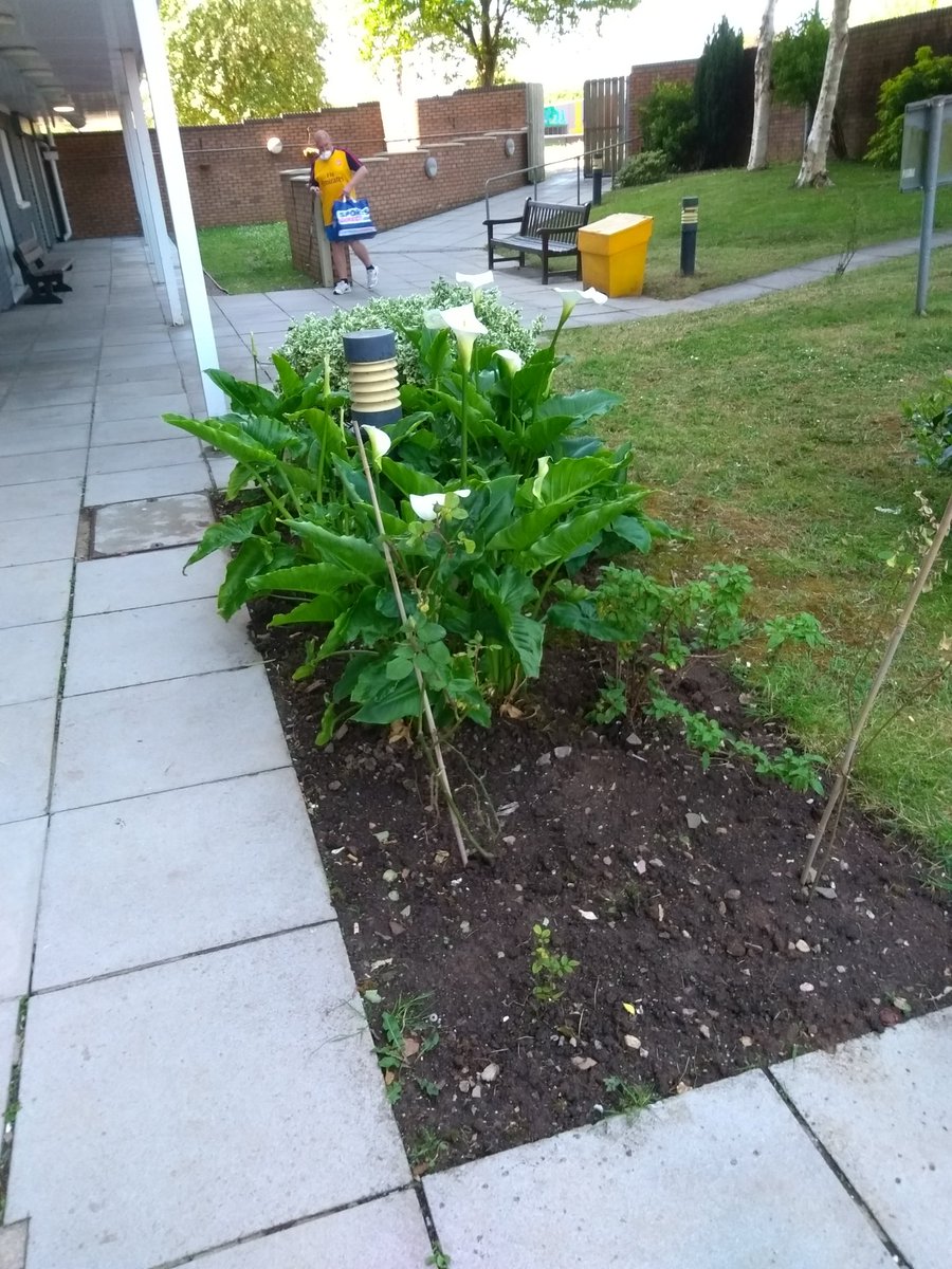 Andywales55uk's tweet photo. @AndyNewport55uk this was made by Tom &amp; mark for a resident who passed away some week ago her name was Jean &amp; before she become very ill over the years &amp; when she was well she spent hrs in the garden planting with her best ever friend called David they was like a couple together https://t.co/9ivICqEzz9