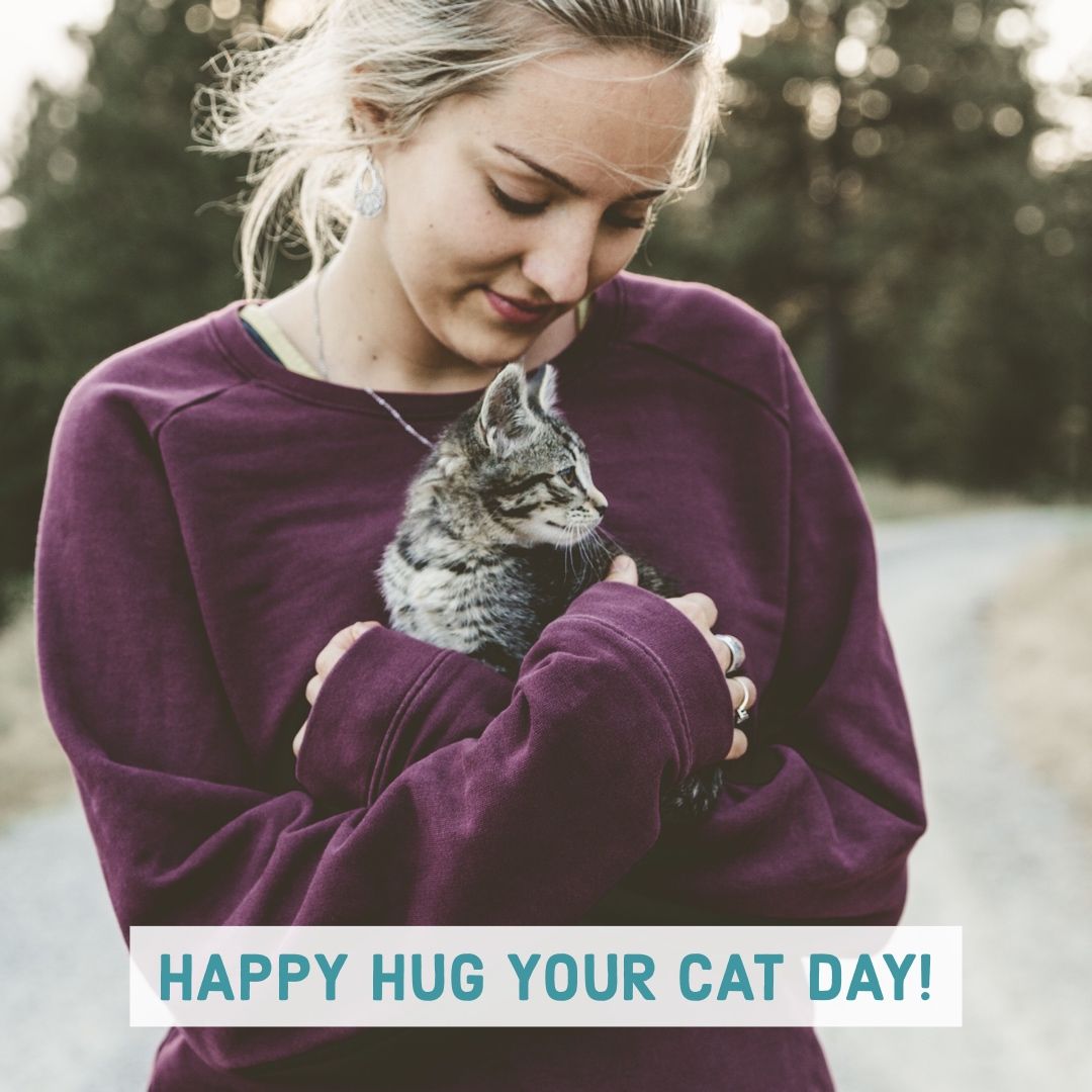 HSGSav's tweet image. Cats may or may not love hugs from us... but we won’t stop begging for their attention. 😻 Post your best pictures with your cats and tag us! #internationalhugyourcatday