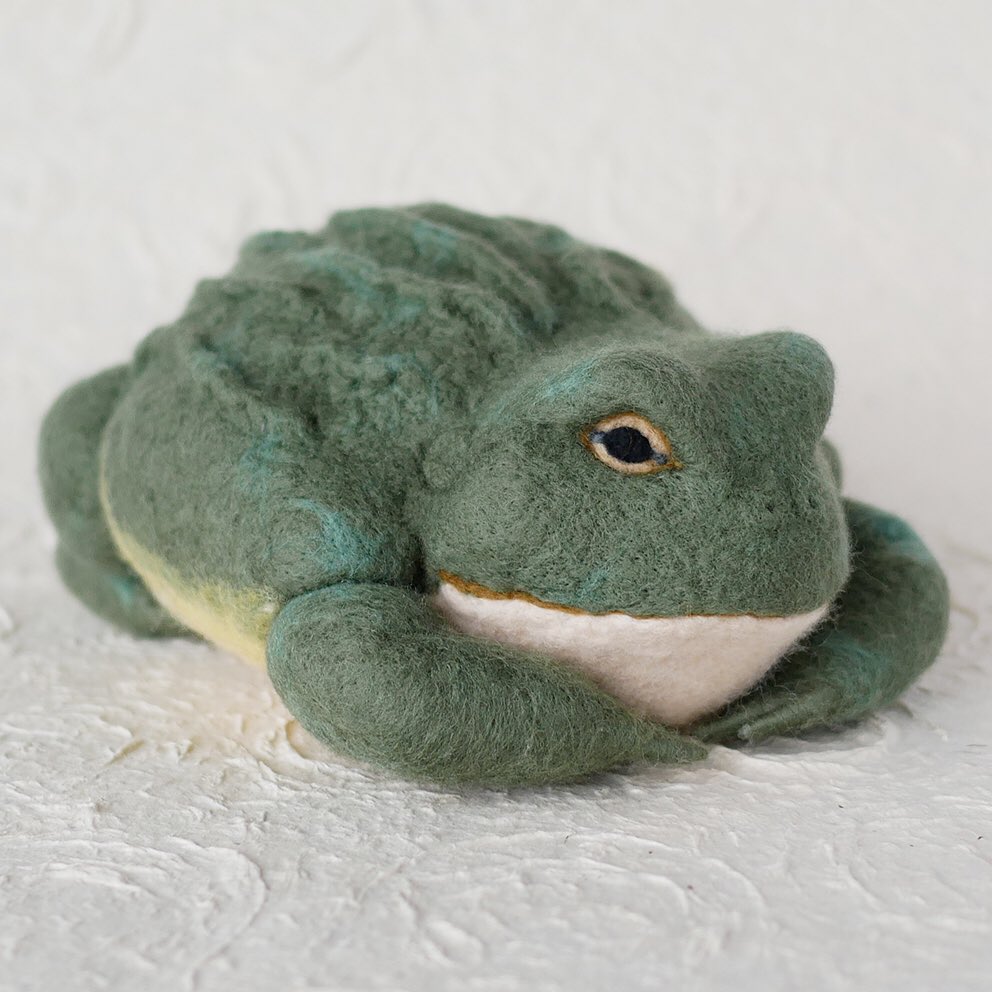 スズキユウコ アフリカウシガエル その２ 全長 約22cm かえるてん で販売するアフリカウシガエル ２匹目 黒目がちなおっとりさん T Co Me4gdhtst8 Twitter