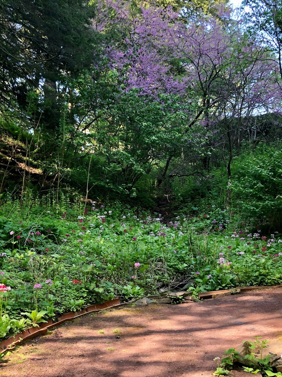 HamiltonCollege's tweet photo. The Root Glen never disappoints. ⁣Enjoy the outdoors and take a peaceful walk. 
⁣
@ClintonCCNY @CityofUtica https://t.co/czAeGTNqlD