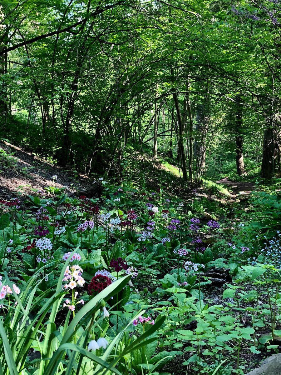 HamiltonCollege's tweet photo. The Root Glen never disappoints. ⁣Enjoy the outdoors and take a peaceful walk. 
⁣
@ClintonCCNY @CityofUtica https://t.co/czAeGTNqlD