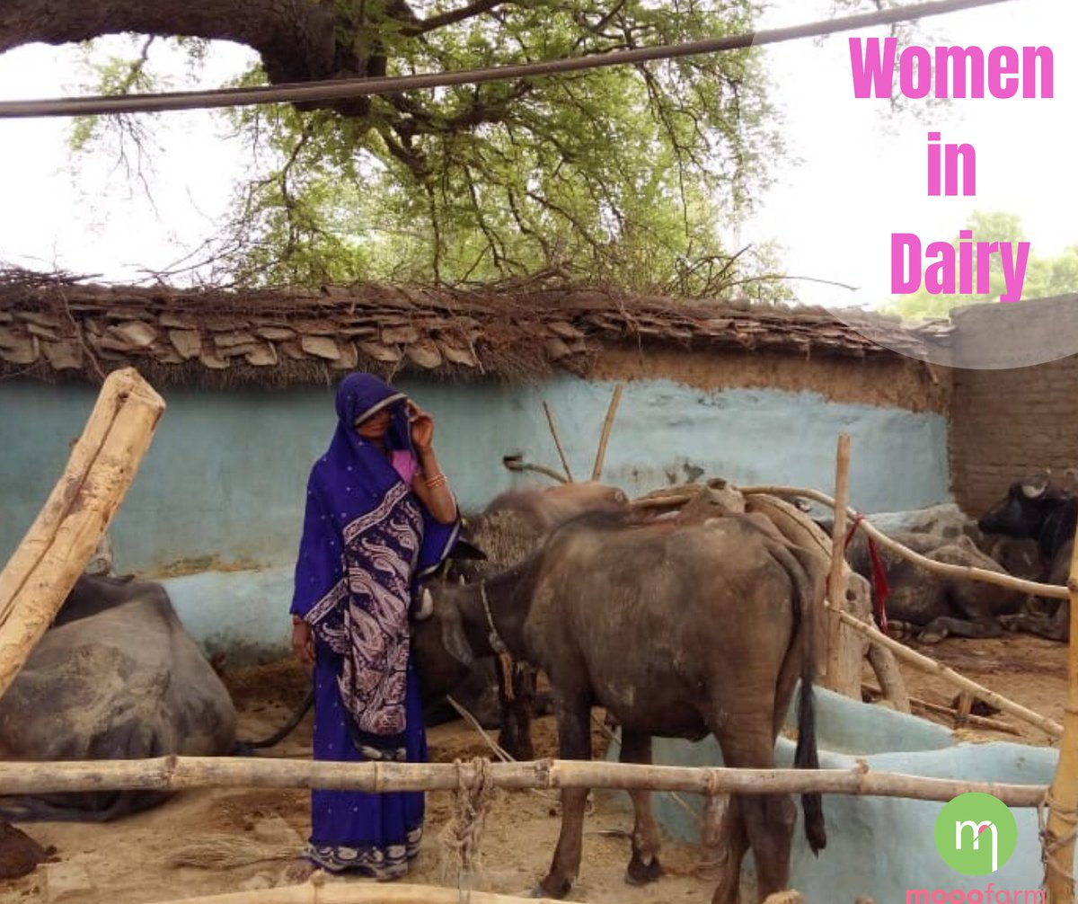 Women are primary caretakers of cattle, yet they rely on male family members for information obtained from training.Our #DairyTech brings e-learning in their hands to improve cattle health & get better milk productivity.
#WorldMilkDay #EnjoyDairy #PovertyReduction #WomanFarmer