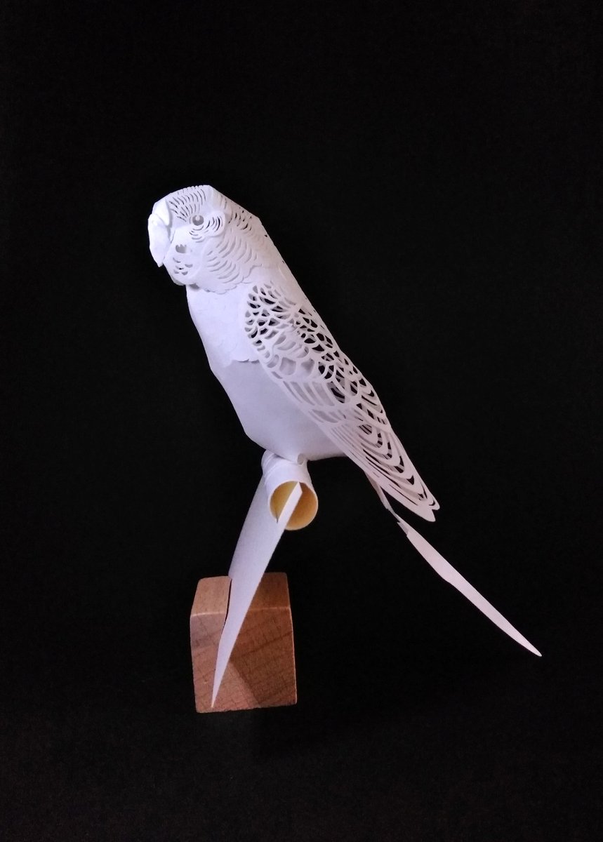 Twitter पर カミヤ ハセ 切り絵ボトル 濃黒切り絵展 ほんっっとに通知が来ない 今日は ファイバークラフト 切り折り紙 セキセイ インコ の作り方動画を撮影しています 金魚に引き続き 下手くそですが出来たら公開致します