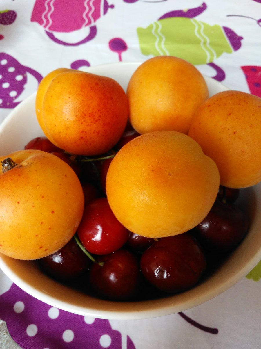 I de postres albercocs de Mas Boixó. Una excel·lent manera d'acabar un bon dinar. <a href="/BoixoMas/">Mas Boixó. Fruites i verdures</a>