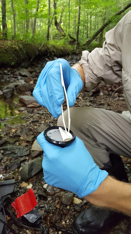 Our latest #environmentalDNA publication: doi.org/10.1002/edn3.89. A promising resource! 60 specific eDNA qPCR assays to detect invasive, threatened, and exploited freshwater vertebrates and invertebrates in Eastern Canada. Brilliantly developed by B. Bougas, C. Hernandez et al.