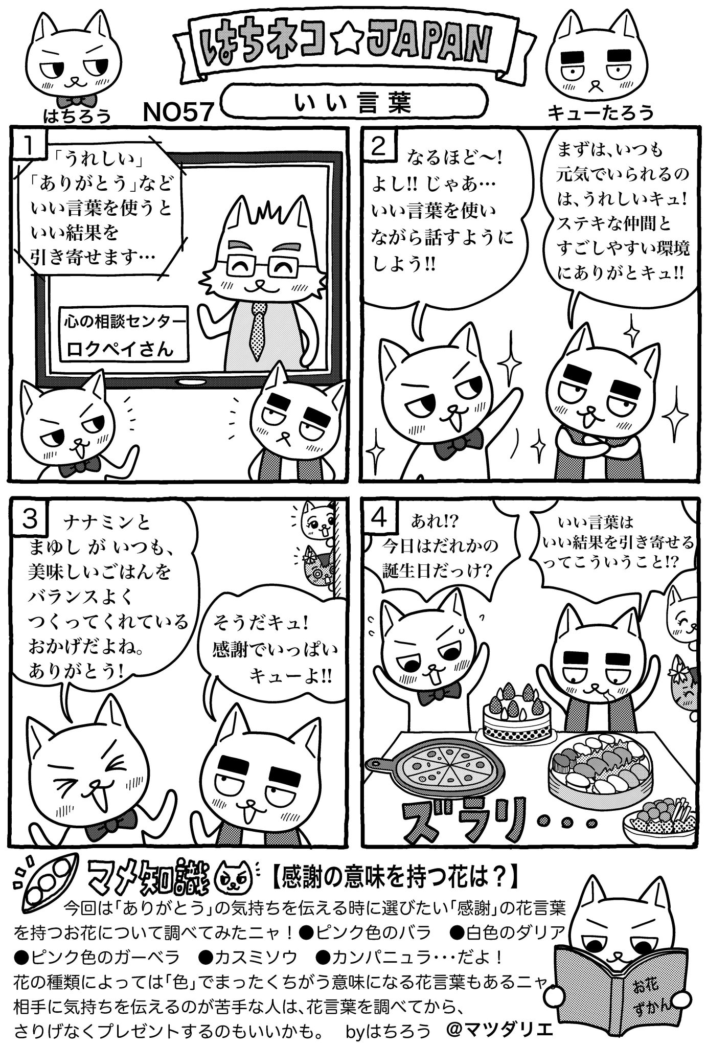 はちネコjapan Hachinekojapan Twitter
