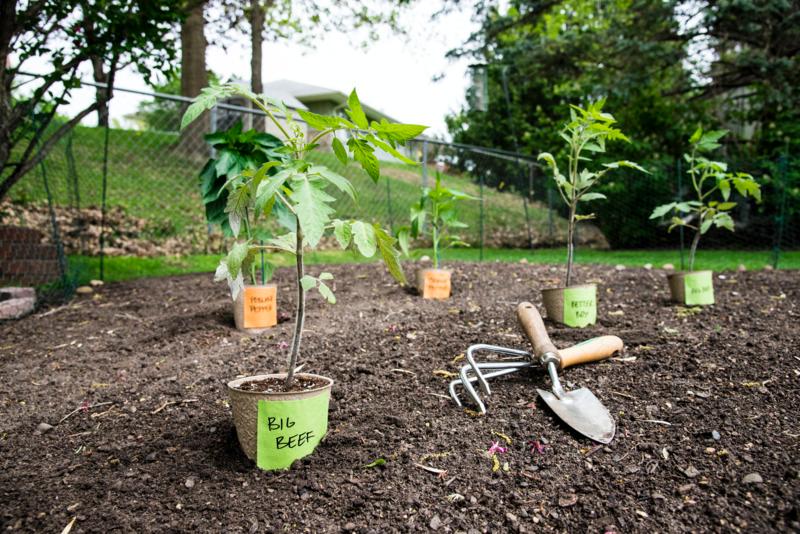 Postit's tweet photo. Let #Postitextreme notes help you get that garden growing. They stick to rough surfaces and can get wet. https://t.co/8O05bTxVE6
