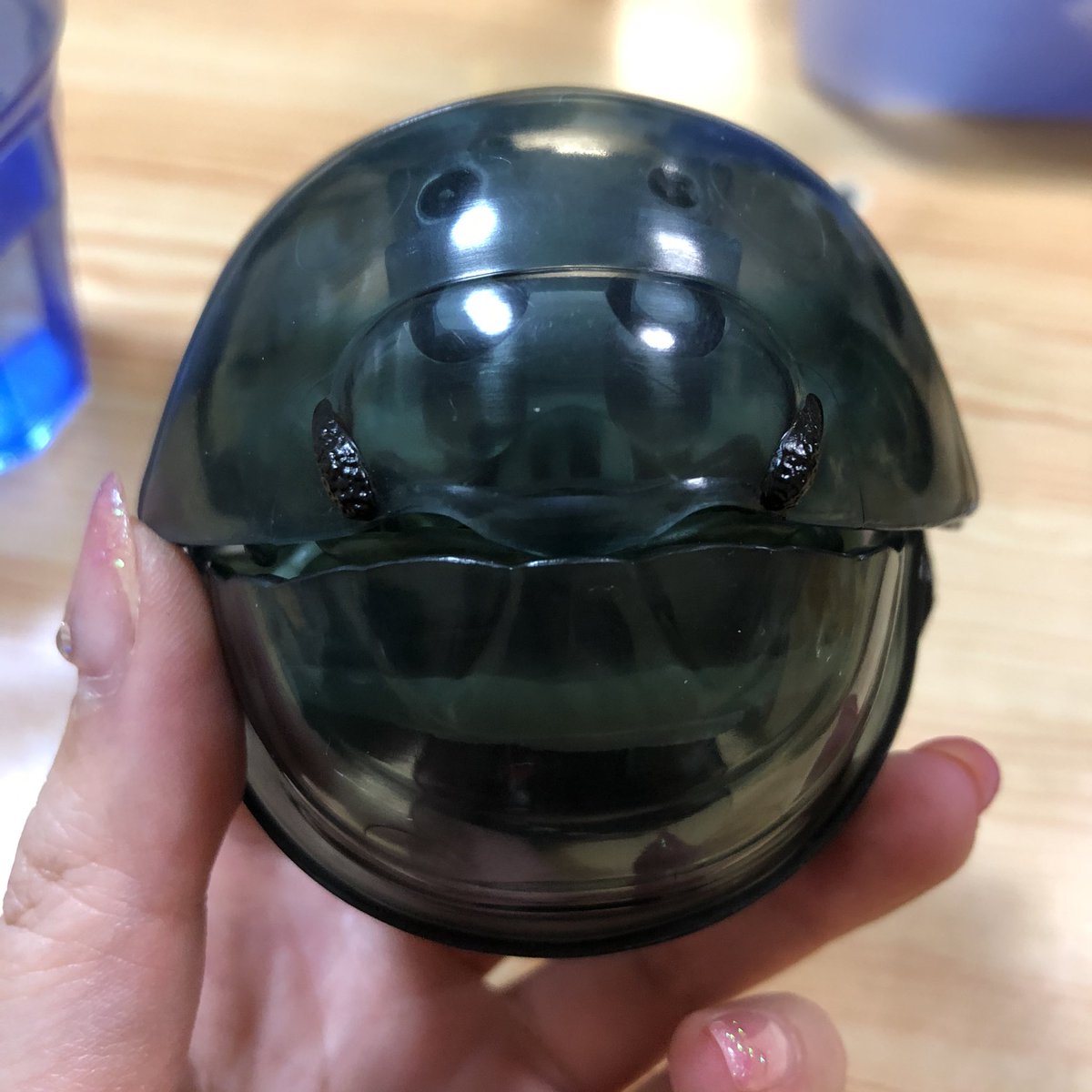 樹 Miki ダンゴムシちゃん二号仲間入り スケルトングレー ダンゴムシ ガチャガチャ