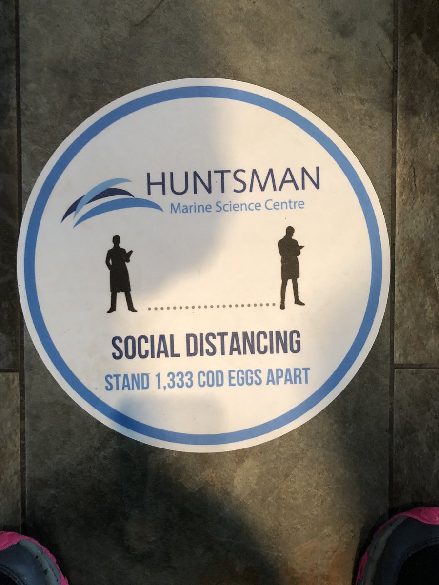Even the floor is an interesting read <a href="/FundyAquarium/">Huntsman Aquarium</a> See if you can find more!!
