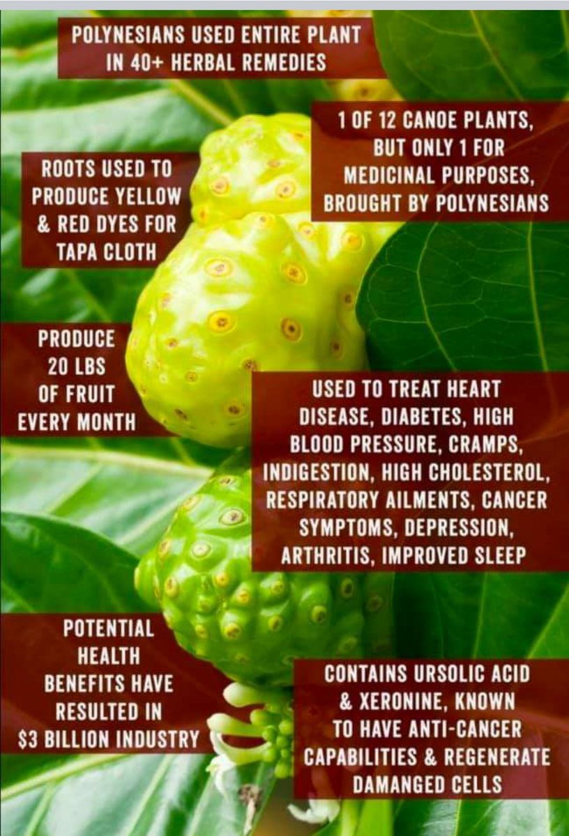 AtomySora's tweet image. Atomy Noni juice ... it helps me a lot ... no more joint pain ... no more swollen ... dm txt or call 09399391767