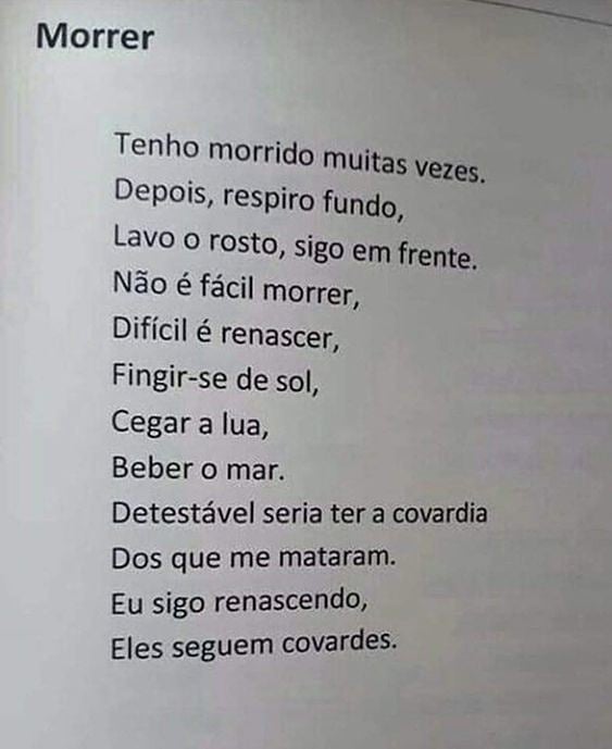 _querodizer's tweet image. 