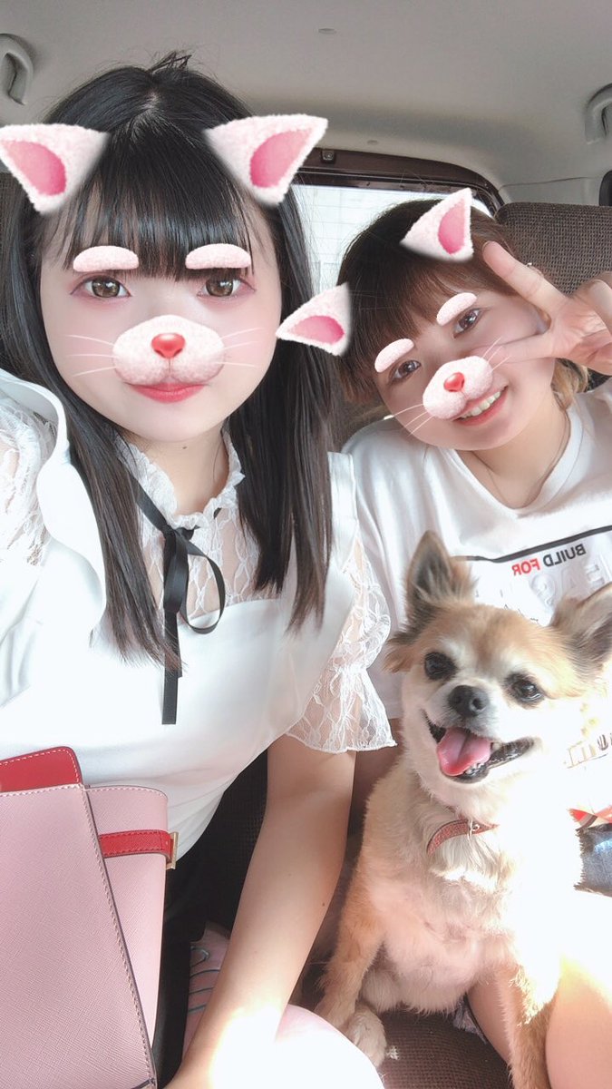 ariokananamida's tweet photo. 新垢あるけど、戻ってきたくなっちゃって
なんか、DM見てたら懐かしいなって思った😢😢
･
新垢でも呟いたけど、今日海に行ってきたよ！！
お姉ちゃんとワンコと🐶
･
わいも成長したでしょ(・・) https://t.co/jnbIfF2bLg