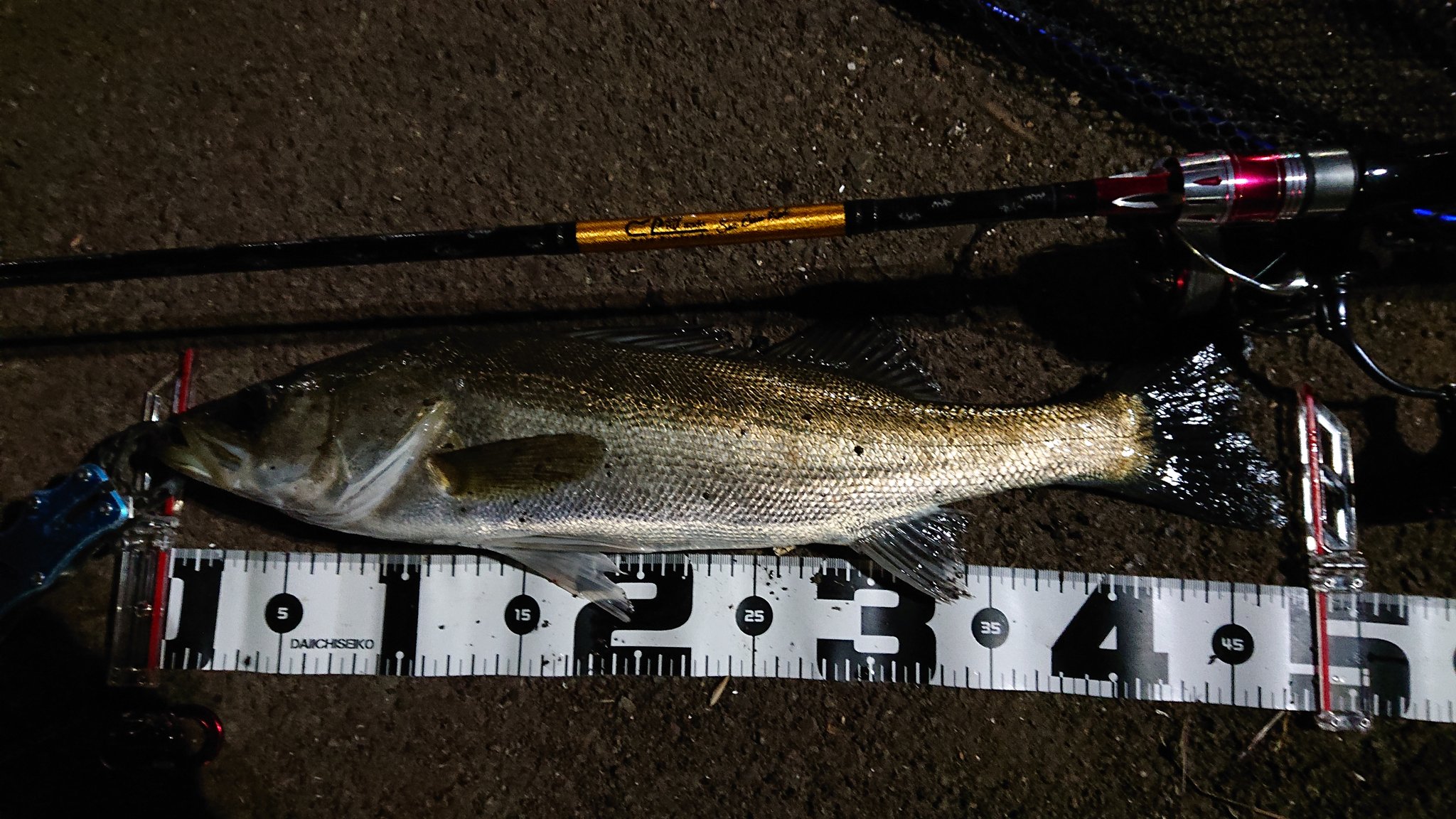 Bajo Profundo 釣り仲間が 全員揃うということで 第2ラウンドは鶴見川に夜釣りへ やはり ジグヘッドに パワーイソメが熱い 笑 T Co Ljcncvpmsq Twitter