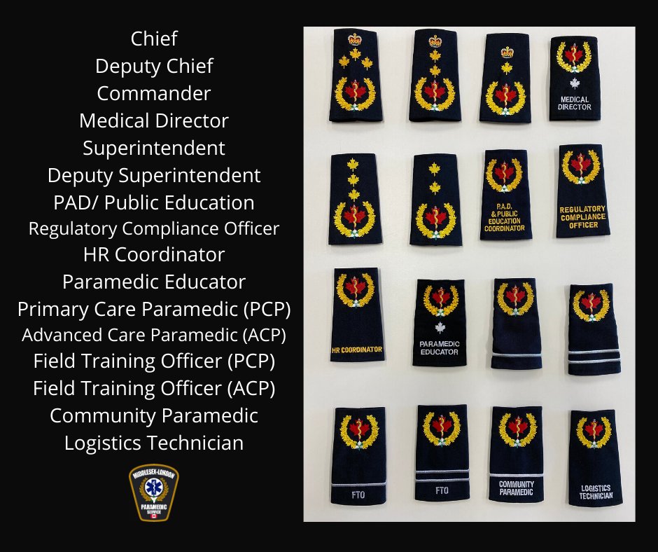 MLPS911's tweet photo. Epaulette Answers! How many did you correctly guess?
#virtualMLPS #PSWEEK2020 https://t.co/aYvasT6utE