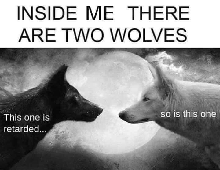 k_queq's tweet photo. A5: I shared this on a personal tweet when I first started Twitter, I was so lost and it was frustrating me. Then I joined #nt2t and with everyone’s help from the chat &amp; my course I was able to engage and participate better. My one wolf is no longer retarded lol thank you all https://t.co/kMD4v49OrC