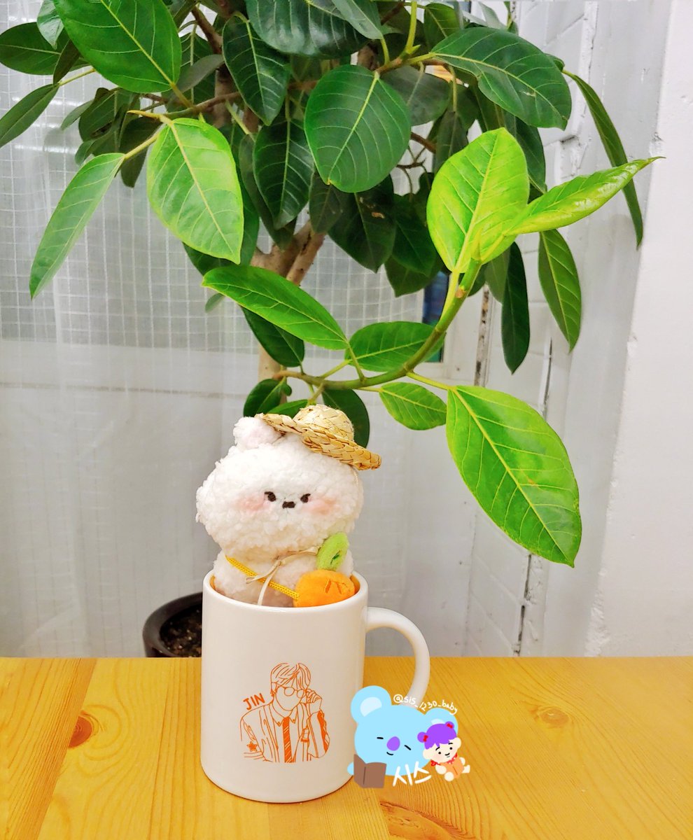 sis_1230_baby's tweet photo. 우리집 새 친구 뽀둥이💜
#시스네_솜뭉치 #루코피키 #뽀둥이 https://t.co/qA2auyHM5w