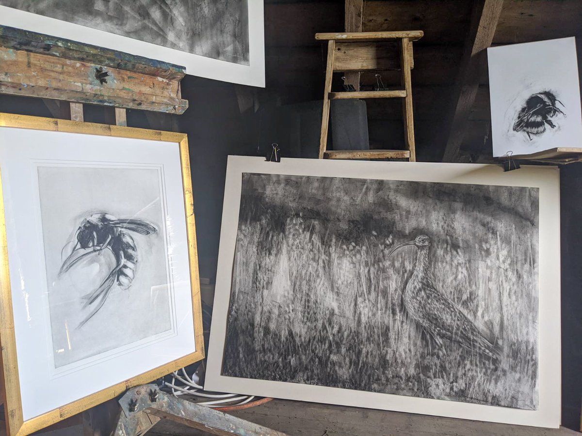 Reasons to be Wild (@reasonstobewild) on Twitter photo London Makers Market online today. Head over to reasonstobewild.com 
10% off our shop with code 'HELLOLMM'!
10% of profits will be donated to <a href="/TCVtweets/">The Conservation Volunteers (TCV)</a> and also selected prints will be supporting <a href="/CurlewCountry/">Curlew Country</a> and <a href="/ScotOwl/">Scottish Owl Centre</a> 
📸Wildlife Photographers <a href="/JoshCopping/">Joshua Copping</a> <a href="/JGT1707/">Justine</a> London Makers Market online today. Head over to reasonstobewild.com 
10% off our shop with code 'HELLOLMM'!
10% of profits will be donated to <a href="/TCVtweets/">The Conservation Volunteers (TCV)</a> and also selected prints will be supporting <a href="/CurlewCountry/">Curlew Country</a> and <a href="/ScotOwl/">Scottish Owl Centre</a> 
📸Wildlife Photographers <a href="/JoshCopping/">Joshua Copping</a> <a href="/JGT1707/">Justine</a>