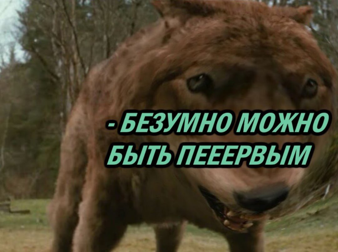 Всегда можно быть первым. Безумно можно бытььпервым. волк мем. волк безумно быть первым. безумно можно быть первым.