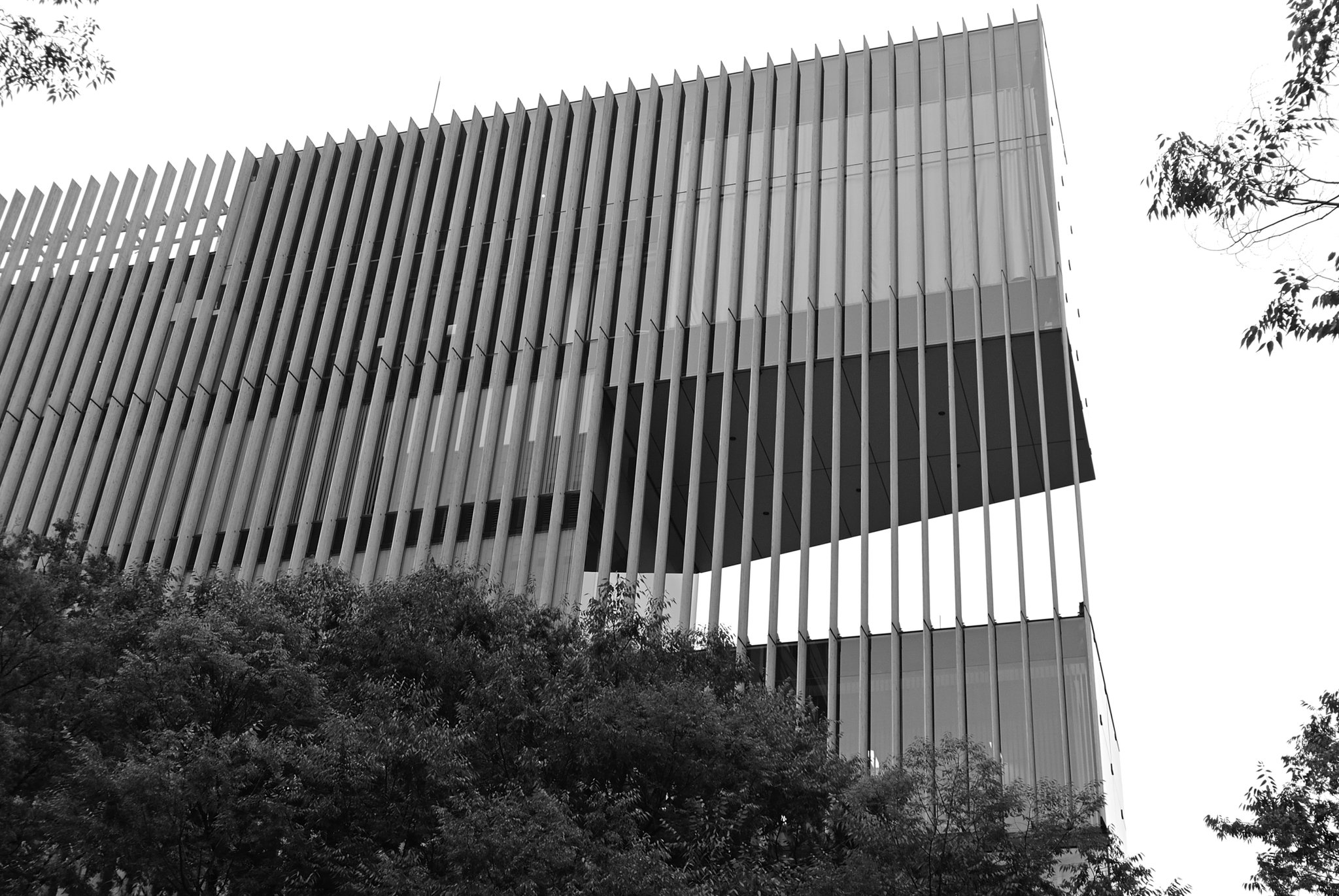 X21 Photos Tokyo Omotesando One Omotesando Kengo Kuma And Associates 03 The Facade Is A Wooden Louver X21 Photos Tokyo Omotesando One Omotesando Kengo Kuma And Associates 03 The Facade Is A Wooden Louver