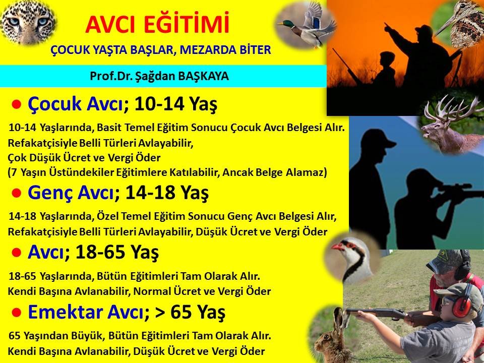 SagdanBaskaya's tweet photo. 🇹🇷🐾 Avcı Eğitimi
Ecdad Yadigarı, Kültür Mirasımız Avcılığa sahip çıkalım.
Kubilay Han, Melikşah, Alparslan, Yavuz, Fatih, Kanuni vd Avcıydı.
Avcı isek, bilgiyi yayalım, retivit yapalım
Yasalar değişebilir şeylerdir.
@bekirpakdemirli 
@IsmailUzmez42 
#avlaklarimizasahipcikiyoruz https://t.co/Sn5AS2iCfs