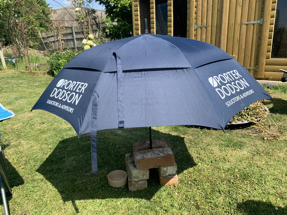 Sun shade for the hound sponsored by <a href="/porter_dodson/">Porter Dodson</a> ☀️🐶☀️#innovative