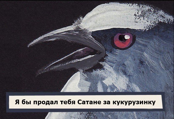 koksovayaruda's tweet photo. итис вот итис https://t.co/HXr5C14sH3