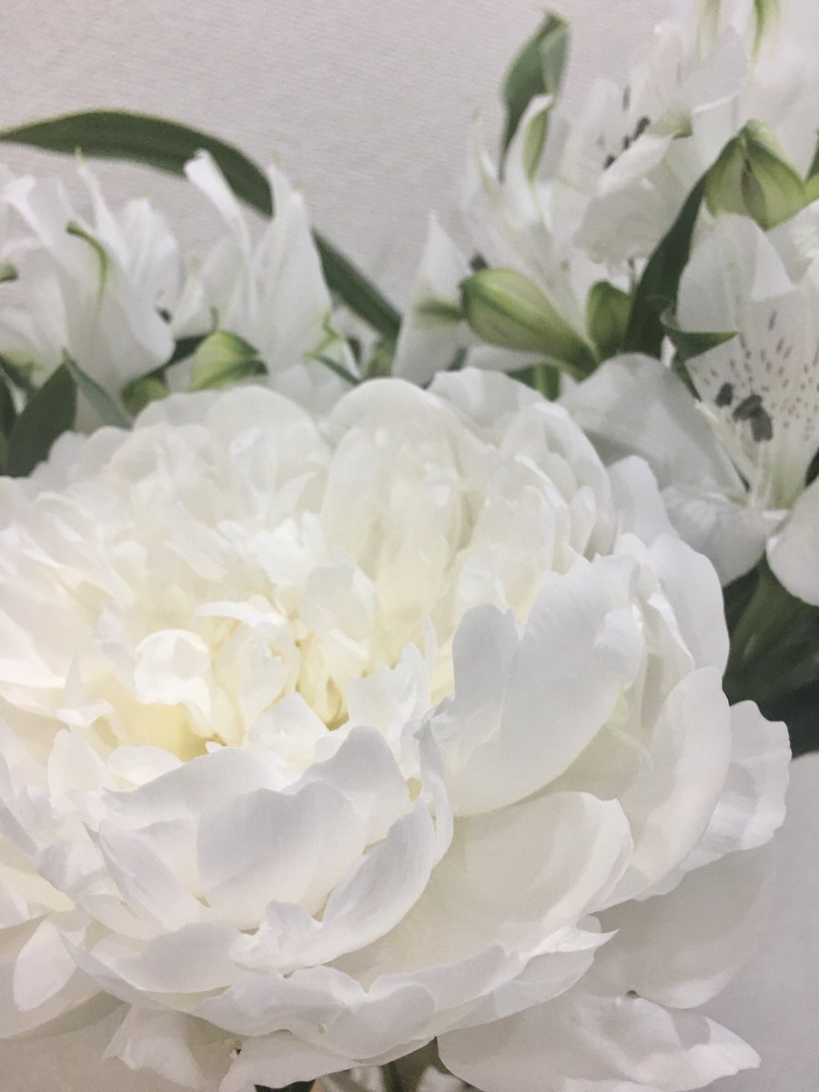 白川ことの オンライン対面占い出演中 芍薬白雪姫さんの大輪具合 写せているでしょうか ただの白はない とtlで拝見したばかりですが確かにそうですね まだまだ生け花の感覚戻りません 新型コロナの影響で新たに出来た習慣 一輪挿しや可能なら野の 白川ことの オンライン対面占い出演中 芍薬白雪姫さんの大輪具合 写せているでしょうか ただの白はない とtlで拝見したばかりですが確かにそうですね まだまだ生け花の感覚戻りません 新型コロナの影響で新たに出来た習慣 一輪挿しや可能なら野の