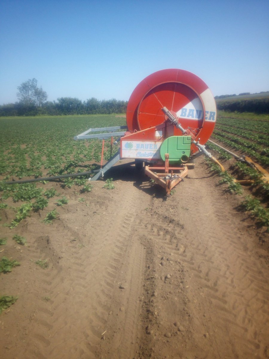 SpudSlingsby's tweet photo. Second time through these #Innovator potatoes @McCainUK @McDonalds #everyreelout #everypump #everypipe #spuds20 #faithfullittletractor #drought20 https://t.co/3Cvw1hoSsg