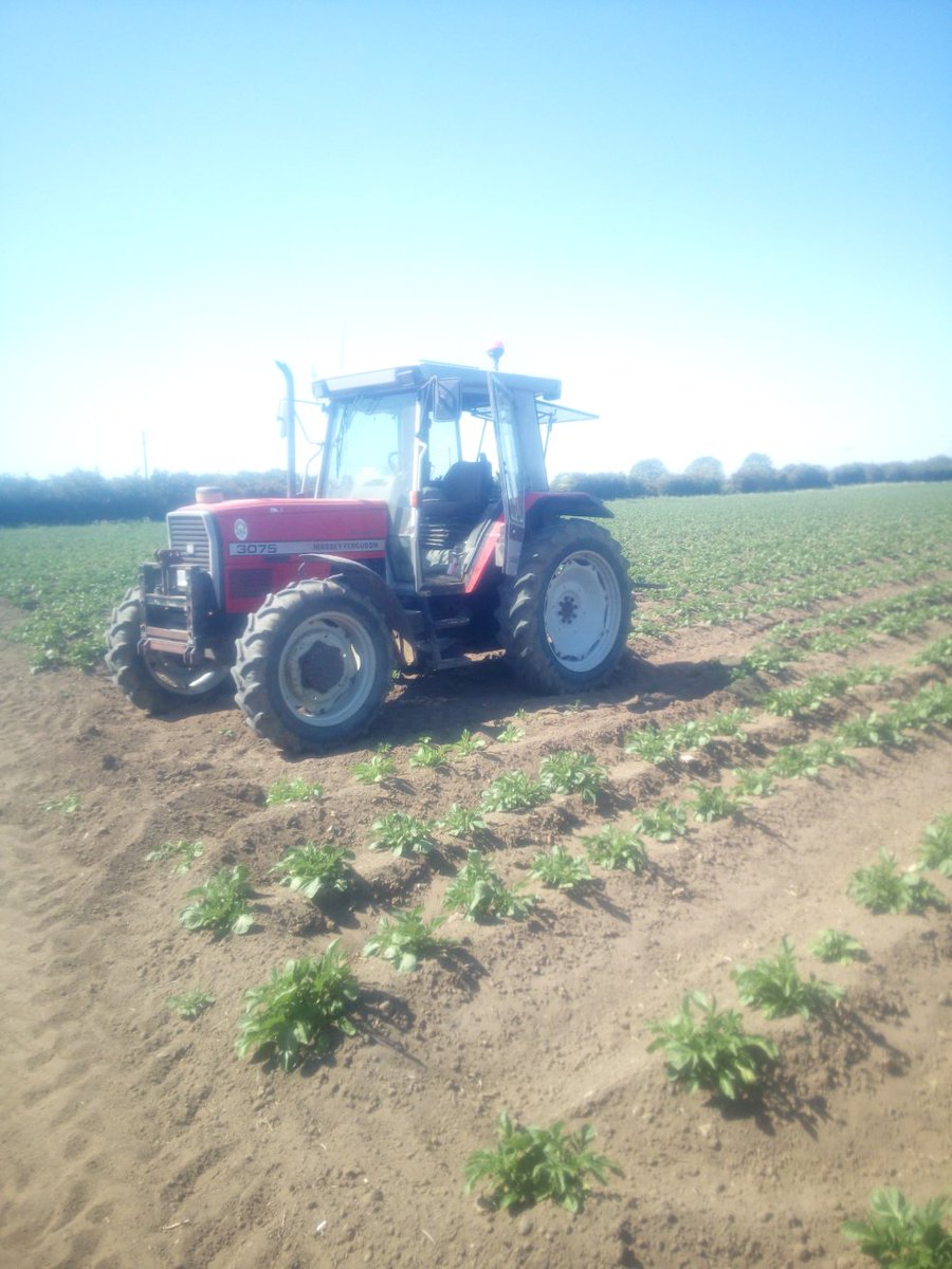 SpudSlingsby's tweet photo. Second time through these #Innovator potatoes @McCainUK @McDonalds #everyreelout #everypump #everypipe #spuds20 #faithfullittletractor #drought20 https://t.co/3Cvw1hoSsg