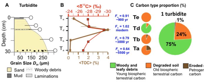 Our new paper in GEOLOGY led by @SophieHageo: sandy turbidity currents effectively sequester fresh terrestrial organic carbon. Have carbon burial estimates in fjords & submarine canyons been underestimated? We suspect so... bit.ly/2XNFZ3y