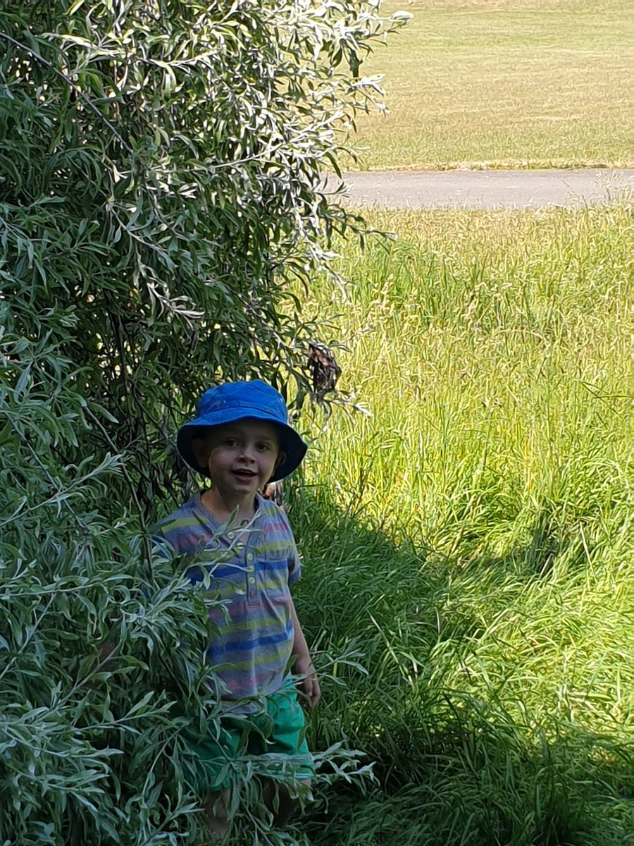 T23Pamela's tweet photo. @romillypsnurs Fynleigh exploring Romilly Park a bit hot today time for ice  cream now ! https://t.co/22tOrorvOP