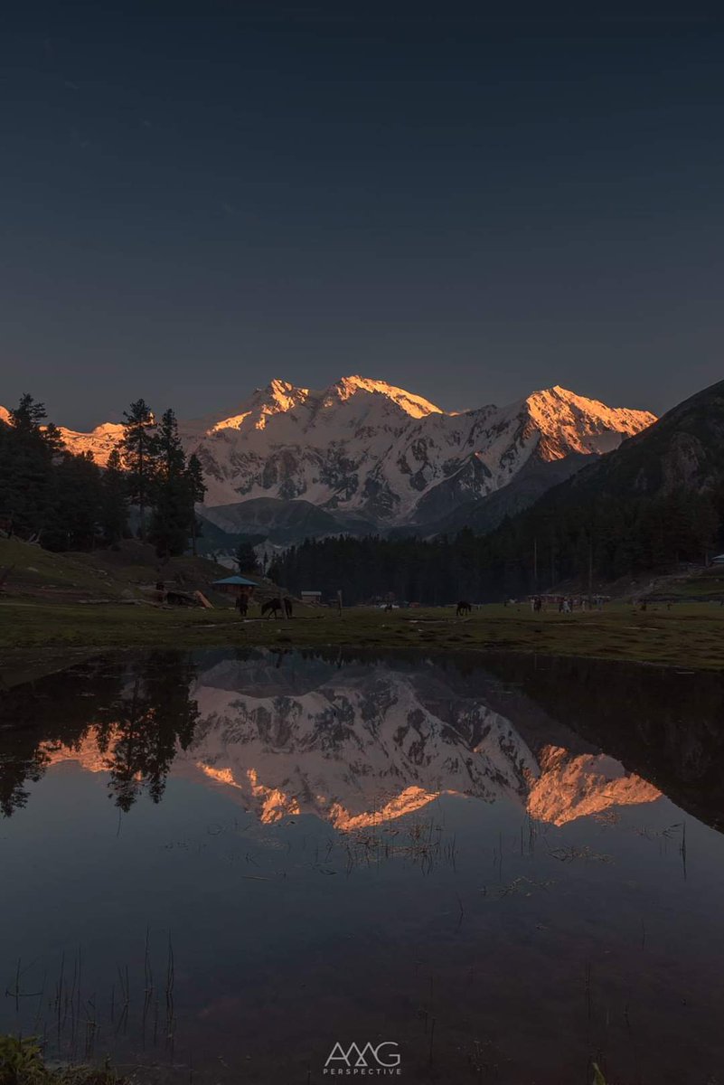 EcoVibeExplorer's tweet photo. Nanga Parbat, locally known as Diamer "Huge Mountain", located in Gilgit Baltistan, Pakistan is the ninth highest mountain in the world at 8,126 metres above sea level. Nanga Parbat is the western anchor of the Himalayas.
Credits: https://t.co/dUYJgeXFfk
#BeautifulPakistan https://t.co/MFfPg4O8Sc