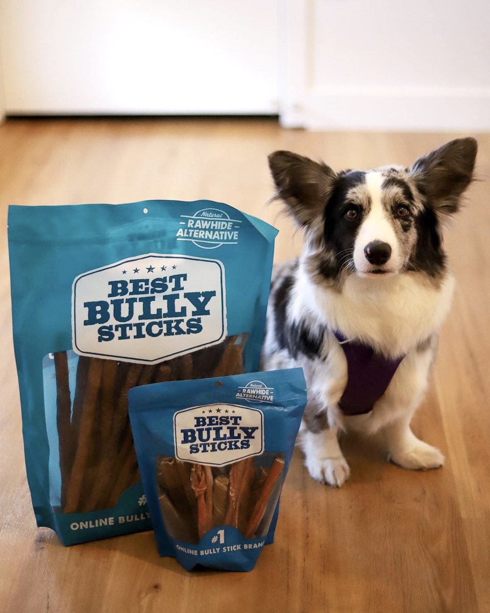 best bully