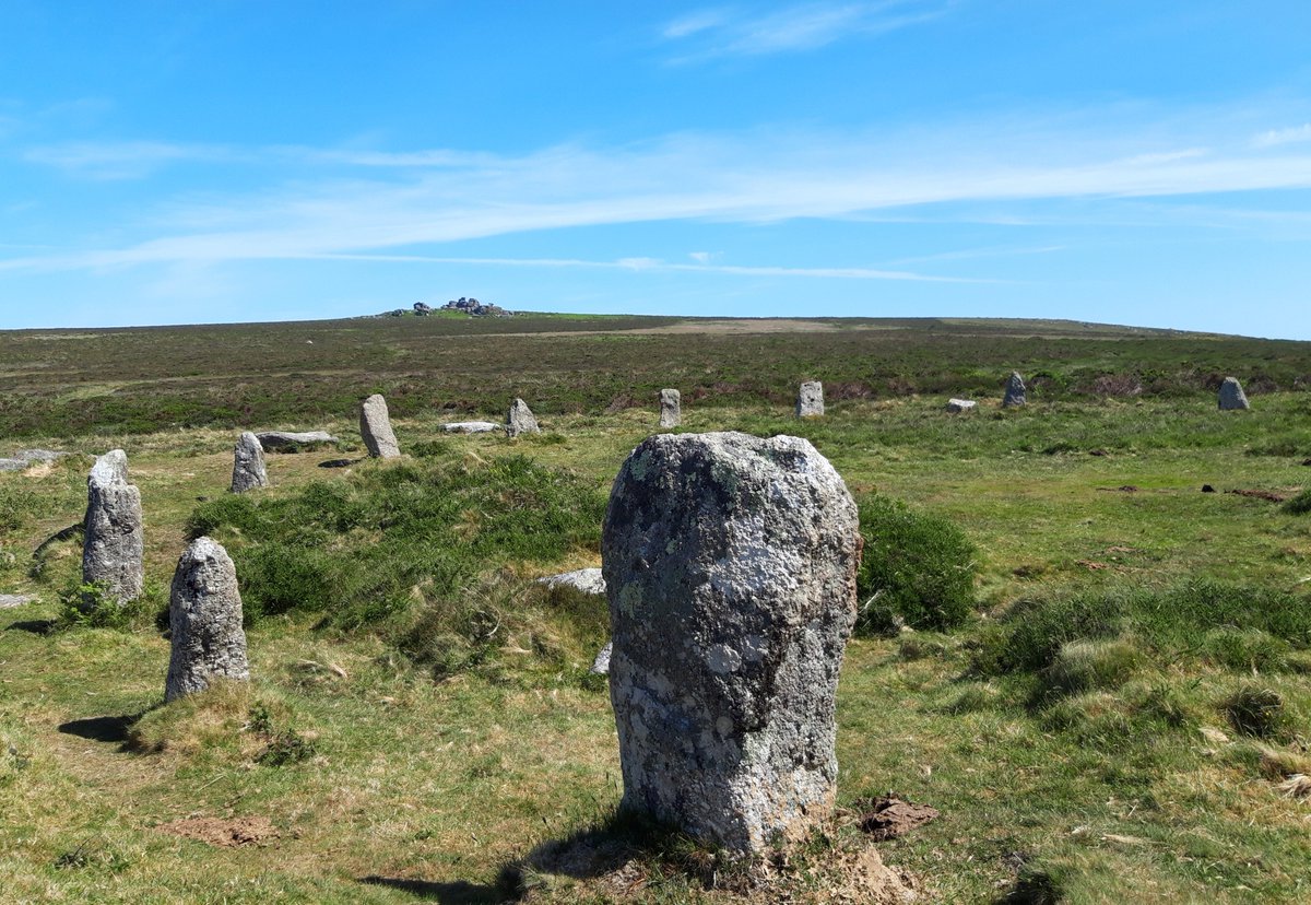 Some  #PrehistoryOfPenwith from today's walk ... and loads of foxgloves.Chûn Quoit, Tregeseal East Stone Circle, Boswens Menhir ... loads of foxgloves.