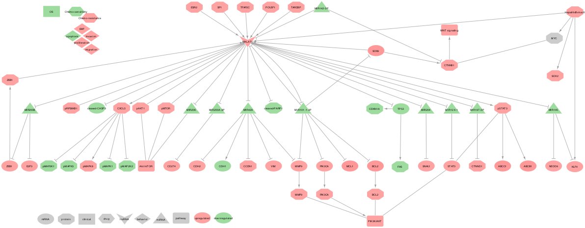 krisspnet's tweet photo. Please share. MALAT1 regulation landscape in Lung Cancer https://t.co/kaJ0sdr3yJ 
recently published in https://t.co/ZtE3Xt9zxs @IJMS_MDPI #MALAT1 #lungcancer #molecular #interaction #network https://t.co/0aloUsyRj7
