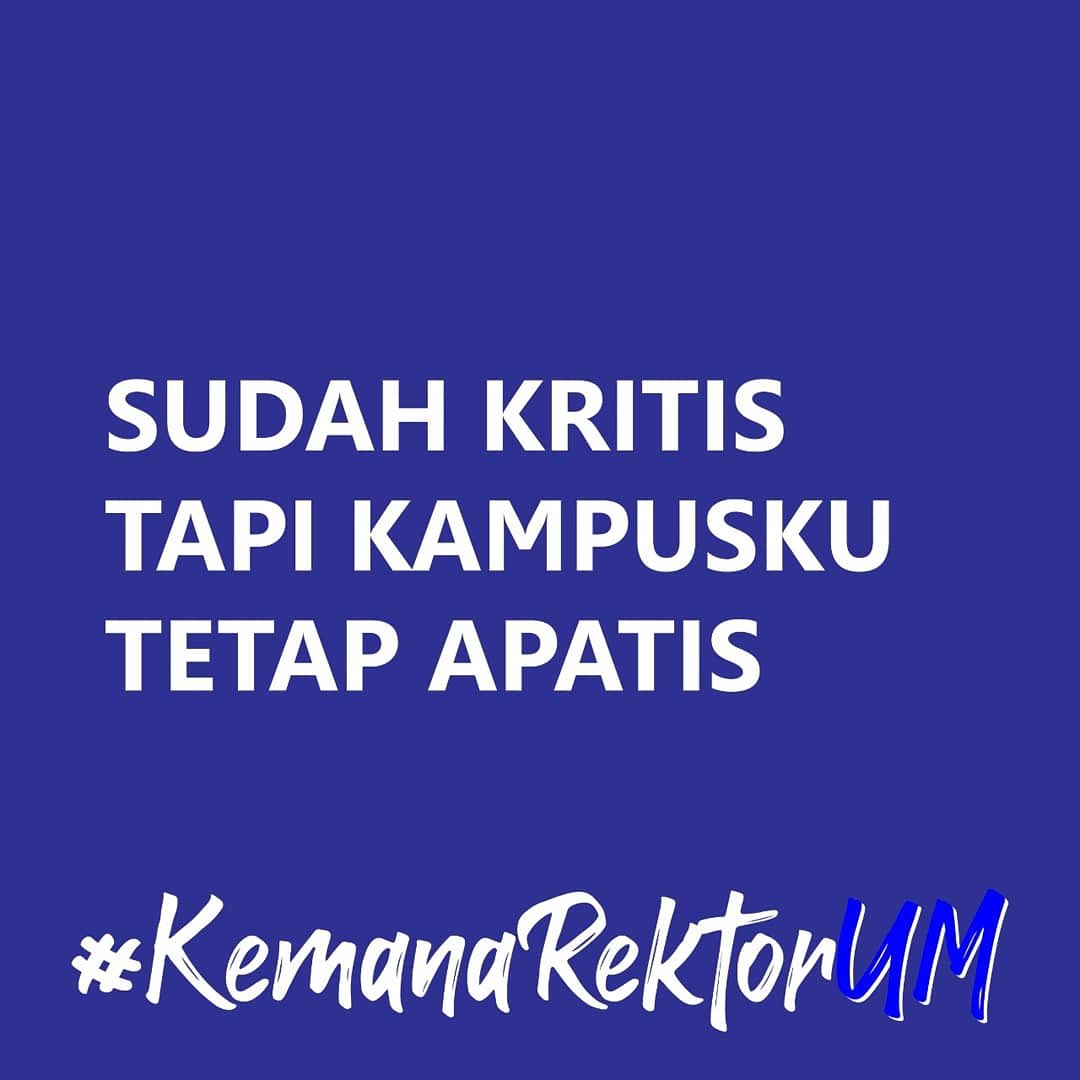 putri tweet media