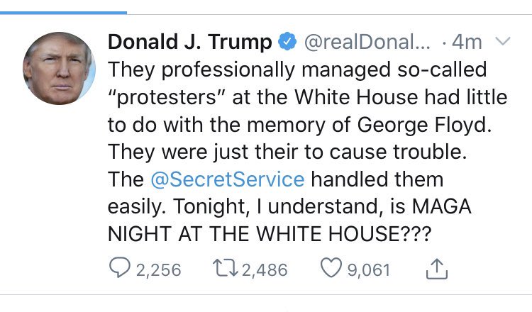 Our shïtstain POTUS* is calling for "MAGA night" at the WH in order to show a force of strength to protesters...who he disdains (as always) as paid to protest.Will his white nationalist pals show up to support him?Sounds like Kristallnacht in the making.
