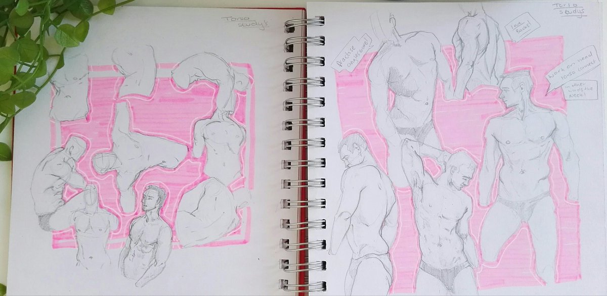 MaylingArt's tweet photo. Been working on anatomy these past few weeks. Heres some chest studies!! #sketchbook #studies https://t.co/KOvibBccnj