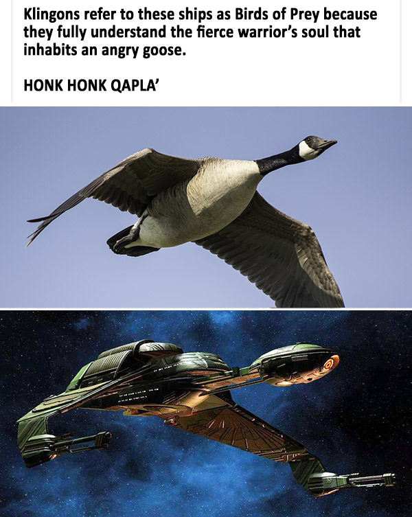 Ulrock 'Jun' Dawnbreaker (@h0ly_dilf) on Twitter photo 