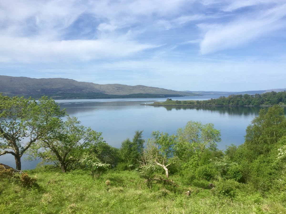 HughRaven's tweet photo. Now we’re phase 1 unlocked, my personal trip to Durham was to walk the path #Inninbeg to #Inninmore above the #SoundOfMull at #Ardtornish. Today, Mediterranean. It starts amid giant beeches, has several breathtaking #waterfalls, and stretches of bosky green tunnel. #Pulchritude https://t.co/LqgA4kY9wx