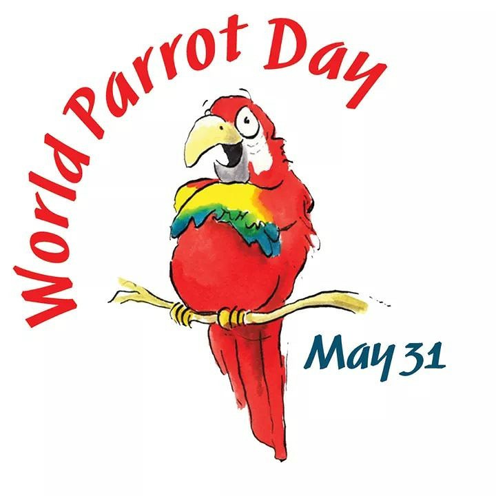 ParrotTrust's tweet photo. Tomorrow is #WorldParrotDay – a time to celebrate all things parrot! World Parrot Day was started by WPT in 2004 to let everyone know that these precious birds need protecting. Join us on FB this weekend to share photos/videos of you and your favourite bird. https://t.co/Eta0K544dx